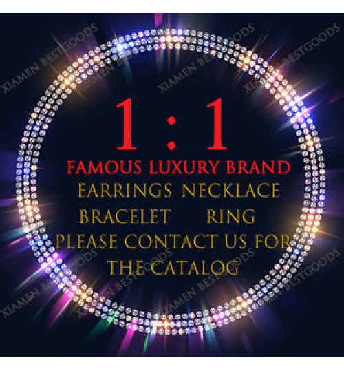 Women Mens 2022 Fashion Luxury Famous Brands Necklace High Quality Earring Designer Jewelry