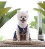 Pet Hawaiian female dog vest cat reactive print skirt longuette with bow