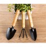 3 Piece Set Mini Garden Tool Spatula Rake Seedling Machine for Outdoor Potted Flowers Iron Wood Black