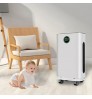 Homefish OEM Air Purifier Purificador Household Anion Humidification Air Purifier Smoke Removal Smart App Wifi Air Purifier