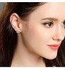 925 stamp Silver Color Purple Crystals Earrings for Women Korean Simple style Wild Temperament Personality Jewelry Supplier