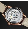 YD ailang 8822 Luminous Waterproof Watch Double Flywheel Automatic Mechanical Watch Business Men's Watch