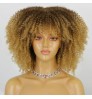 Wholesale Supplier With Bangs Big Hair Straight Short Wigs For Black Women Curly Headband Wig For Sale Kinky Natural Afro Wigs