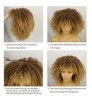 Wholesale Supplier With Bangs Big Hair Straight Short Wigs For Black Women Curly Headband Wig For Sale Kinky Natural Afro Wigs