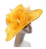 Wholesale 2022 ladies Spring Autumn sun hat women luxury wide brim hat church party wedding hat for women